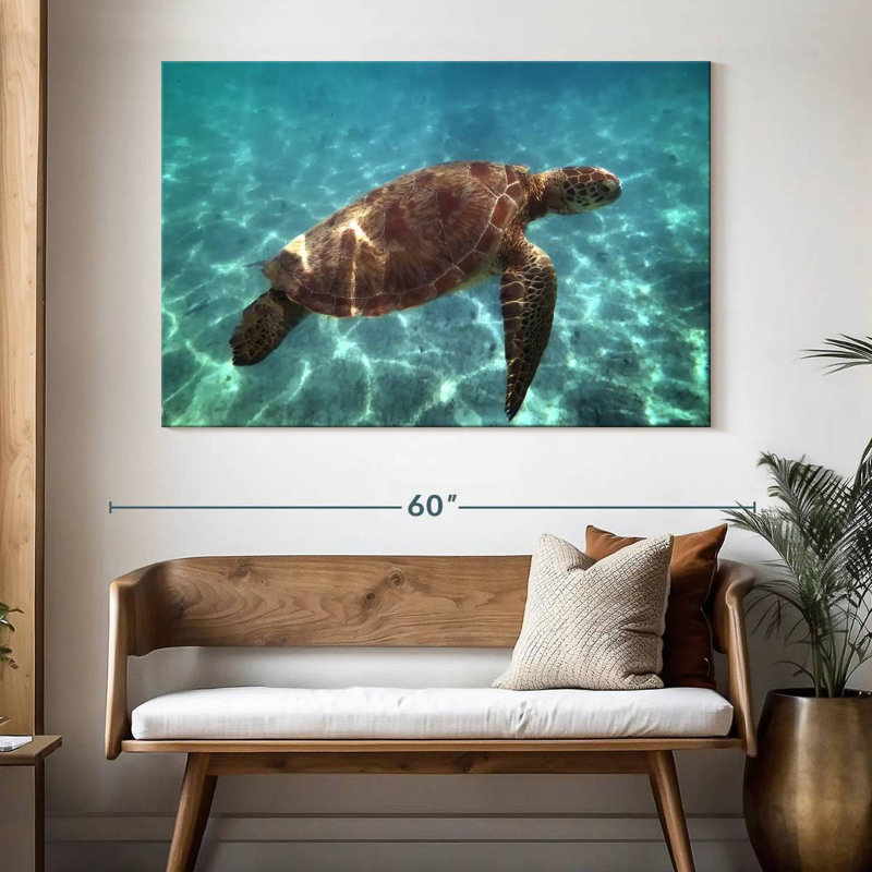 Brampt Endangered Hawksbill Turtle