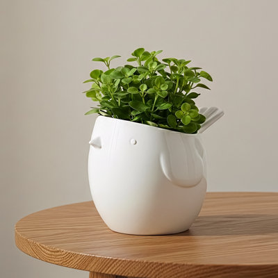 Zygi Bird Gloss Ceramic Planter Pot for 4" Nursery Pots (White)