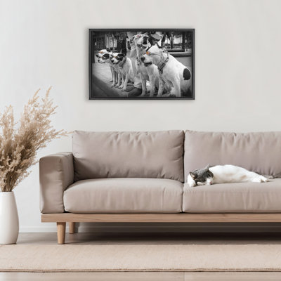 Cadre flottant Afprès Stroll Pups, design par Scott Henderson