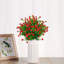 Arrangement mixte-1438405914