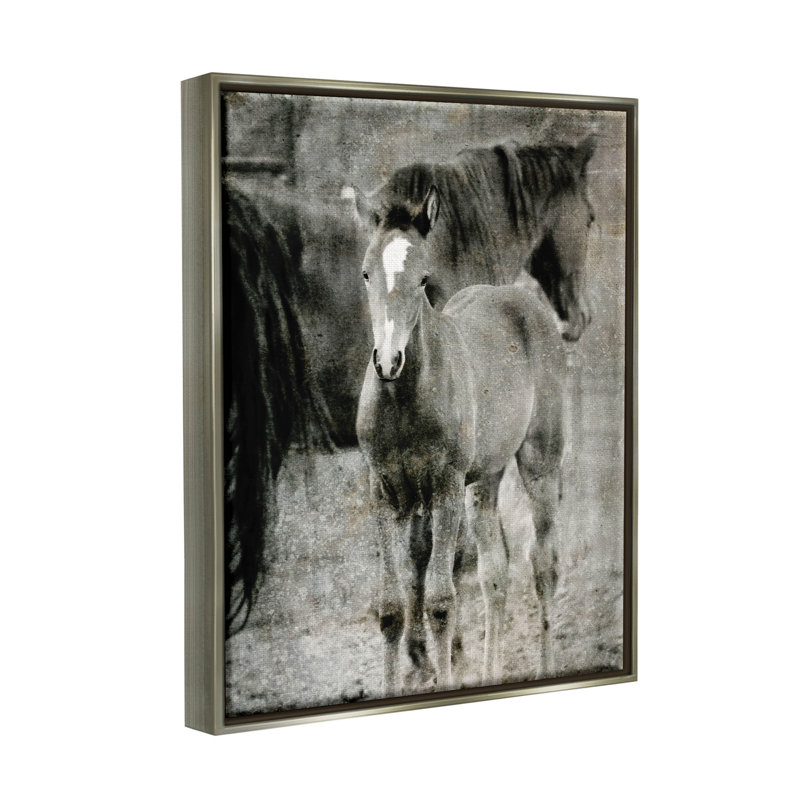 «Vintage Foal Horse Farmland - Floater Frame», impression sur toile, H 21 po x l 17 po x P 1,7 po, Cadre flottant gris lustré