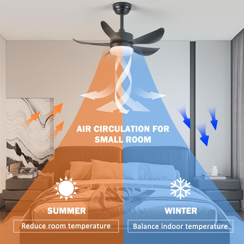 Ceiling Fan with LED Lights, Black