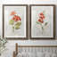 Lin géranium - ensemble de 2 reproductions d'art-1254695850-1254695853-1254695849
