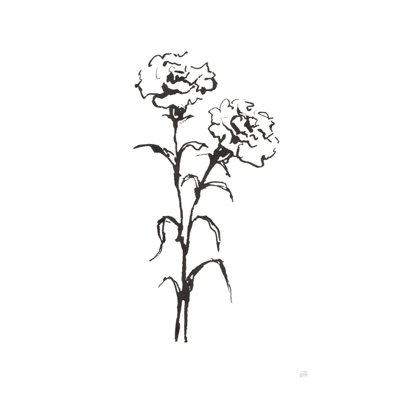 Line Carnation II by Chris Paschke - Painting Print, 46cm H x 30cm W, Black Floater Framed