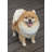 Animals Weather Resistant Water Resistant UV Resistant Polyresin Garden Statue
