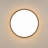 Dimmable Modern Perforated Design Round Led Flush Mount With Wood