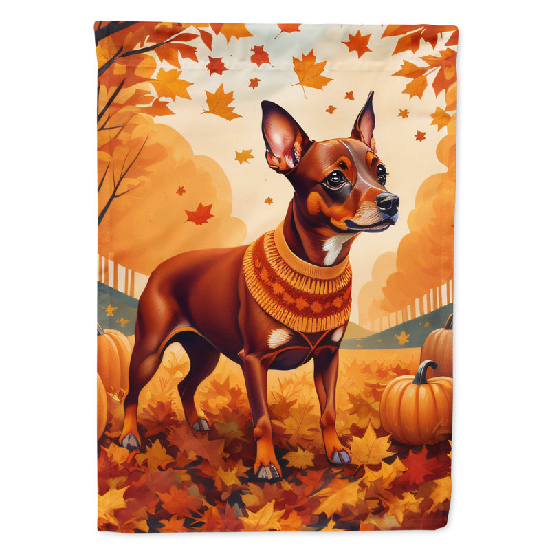 Drapeau de jardin double en polyester H 15,5 po x l 11,25 po