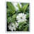 Cadre flottant blanc