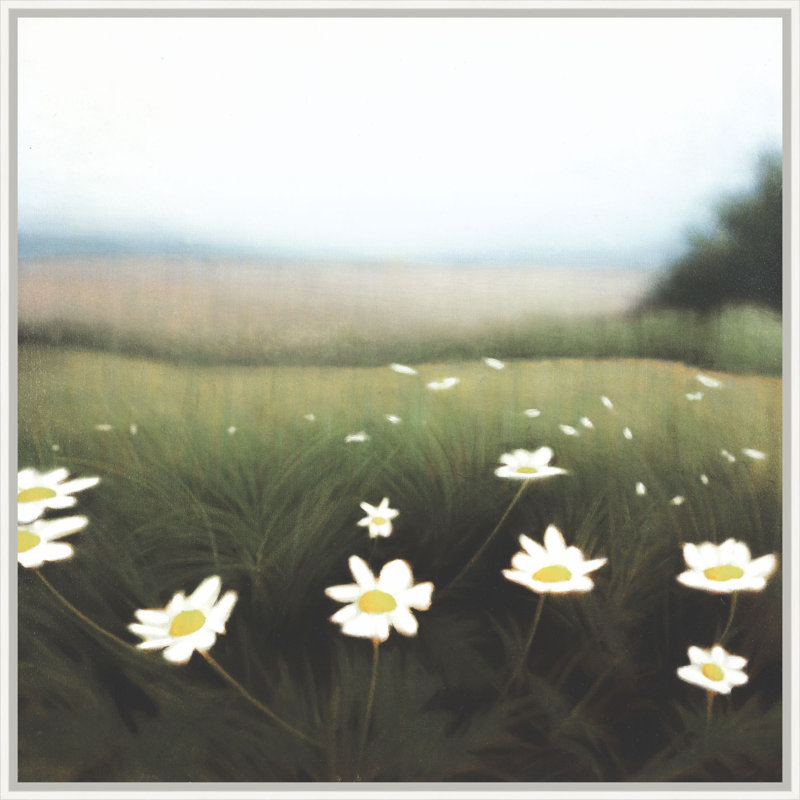 Wild Daisies 1 Print, 32.25" H x 32.25" W