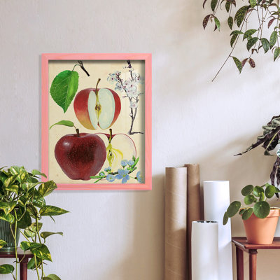 Apple & Blossom Study II " Apple & Blossom Study II "