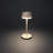 Lyon Cordless Table Lamp - USB Rechargeable, RGB Dimmable LED, Elegant Design-110764324