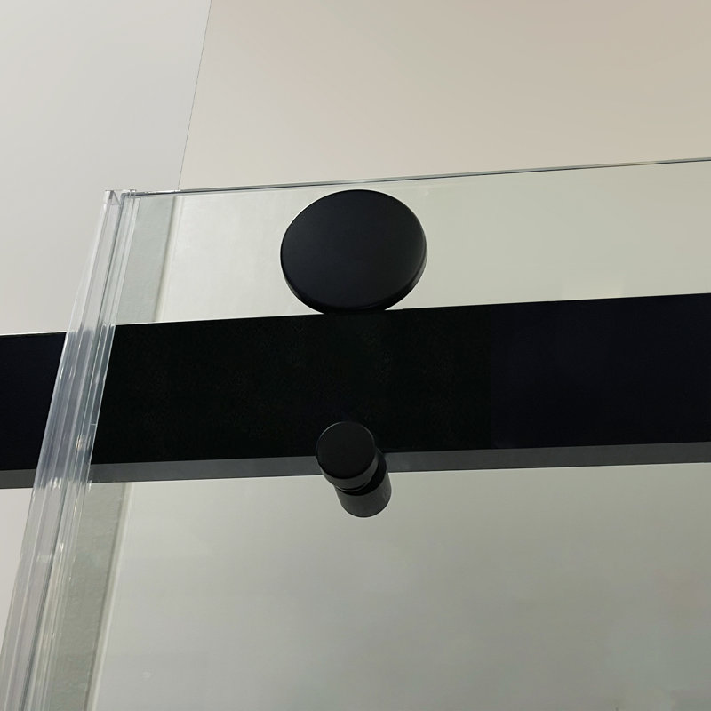 Porte de douche sans cadre, Noir
