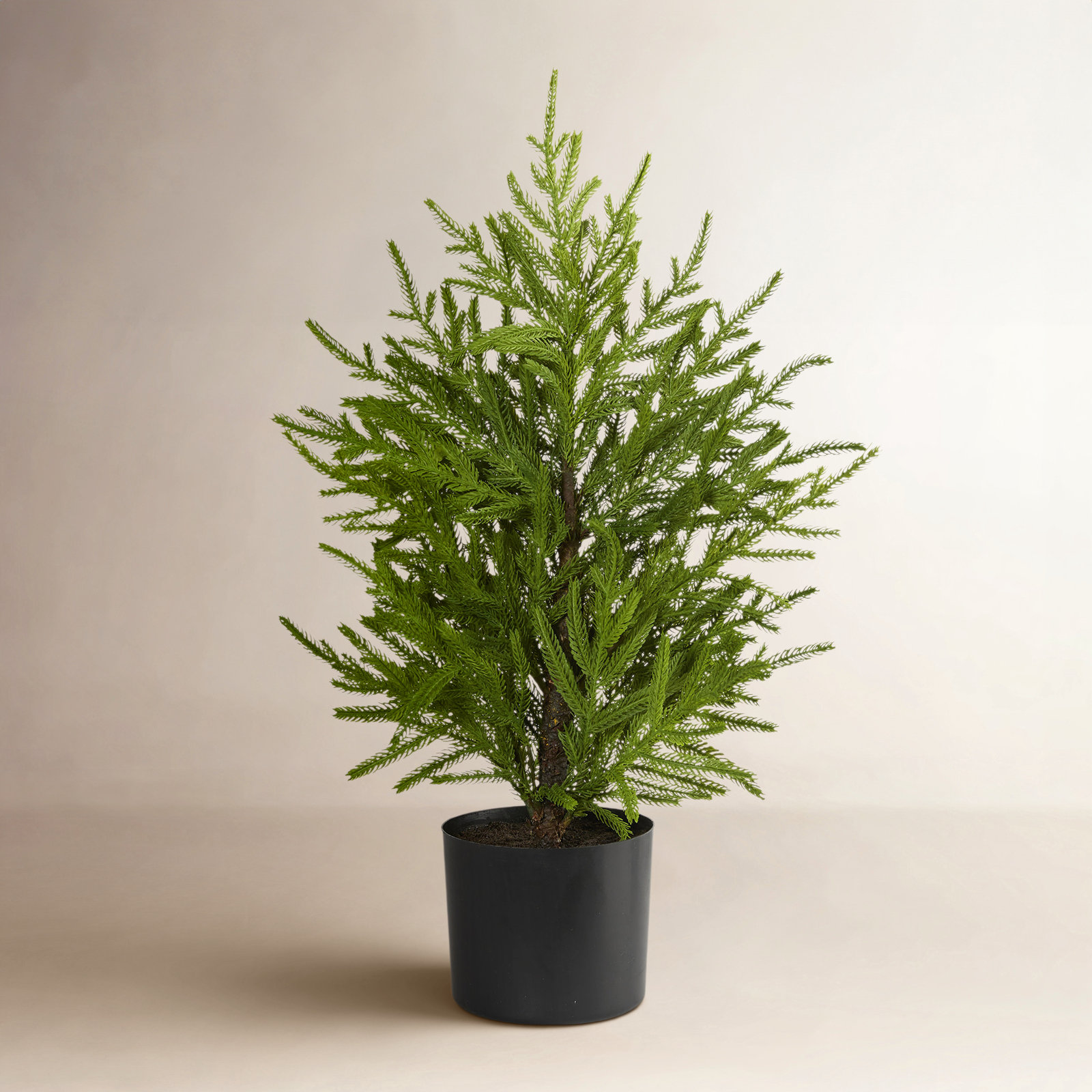 Artificial Christmas Tree, 2' H