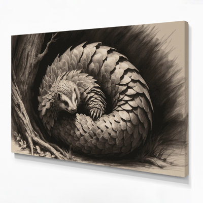Wildlife Ground Pangolin Black Canvas Wall Art