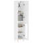 Storage Cabinet