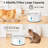 Auotomatic Dog Water Fountain With Controller