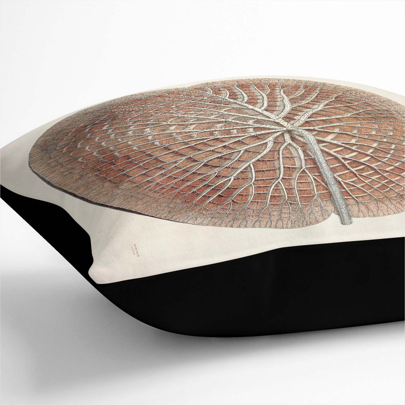 Leaf of a Gigantic Water Lily by William Sharp Cushion with Filling, Black, 40cm H x 40cm W x 15cm D