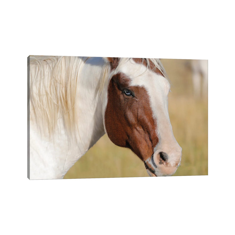 Blue Eyed Beauty II by Susan Vizvary - Wrapped Canvas Print, 20.32 cm H x 30.48 cm W
