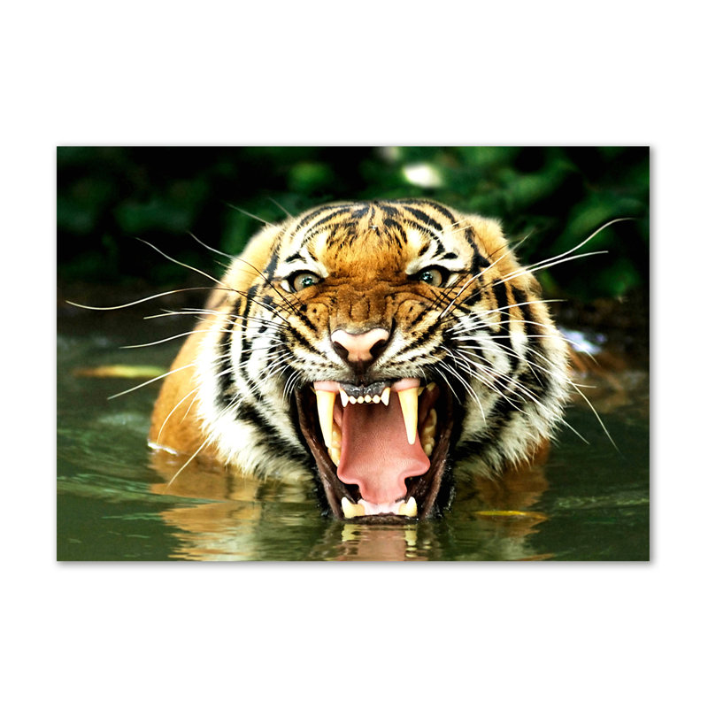 Roaring Tiger - No Frame Print on Canvas