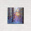 'Sunrise' by Mandy Budan, Metal Wall Art,-1844182100