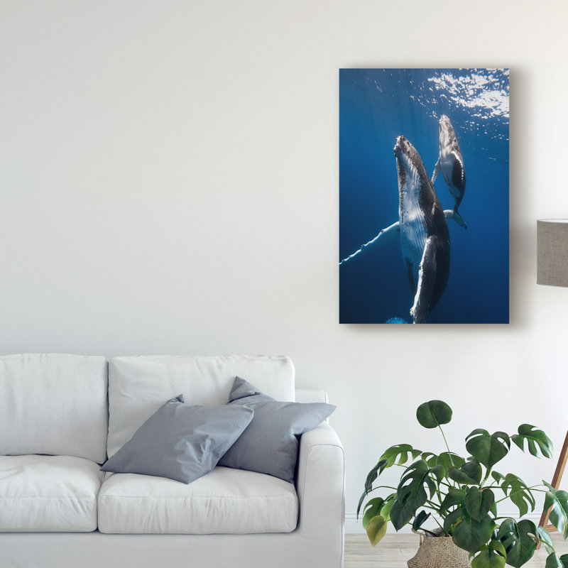 « back to the surface », reproduction de photo sur toile tendue, H 24 po x l 16 po x P 2 po