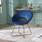 Vanezza 28.35" Wide Modern Faux Suede Accent Chair with Metal Legs-1958466011-1900437601