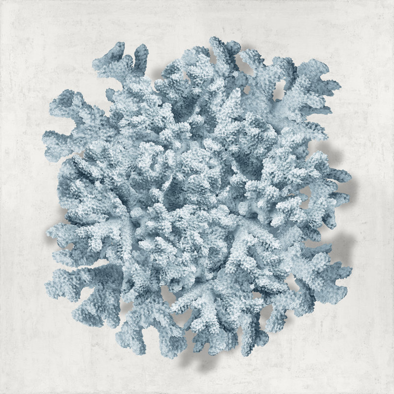 Coral Blue II by Caroline Kelly - Wrapped Canvas Print, 30cm H x 30cm W