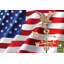 Girouette american eagle