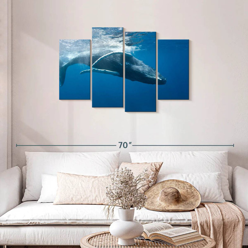 Baleine à bosse Brampt