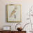 " Barn Owl " Painting Print