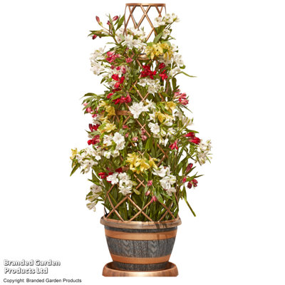 Pot Planter