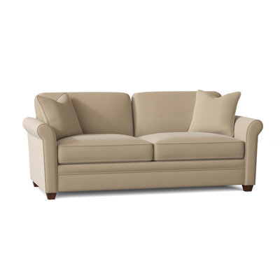 Demetrius 79'' Upholstered Sleeper Sofa
