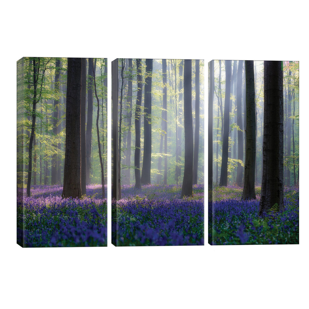 'Bluebells' Photograph Multi-Piece Image on Wapped Canvas