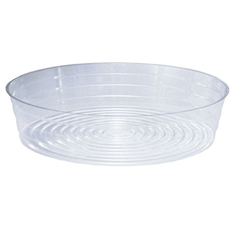 Saucer Plant Stand