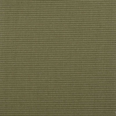 Taffeta Weaves Fabric