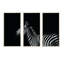 «Sideview of Zebra» en noir et blanc - 3 pièces, cadre flottant, impression sur toile-675063361-675063373