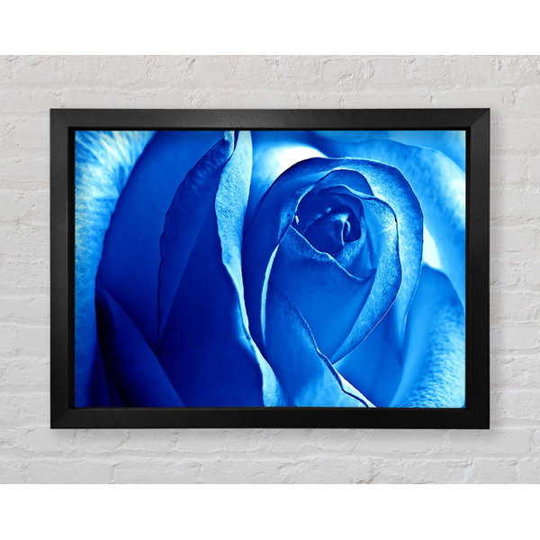 Bright Star Blue Rose - Single Picture Frame Print | Wayfair.co.uk