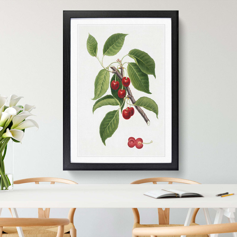 Sour Cherry Tree by Giorgio Gallesio - Picture Frame Painting Print, 65cm H x 48cm W x 2cm D, Black Framed