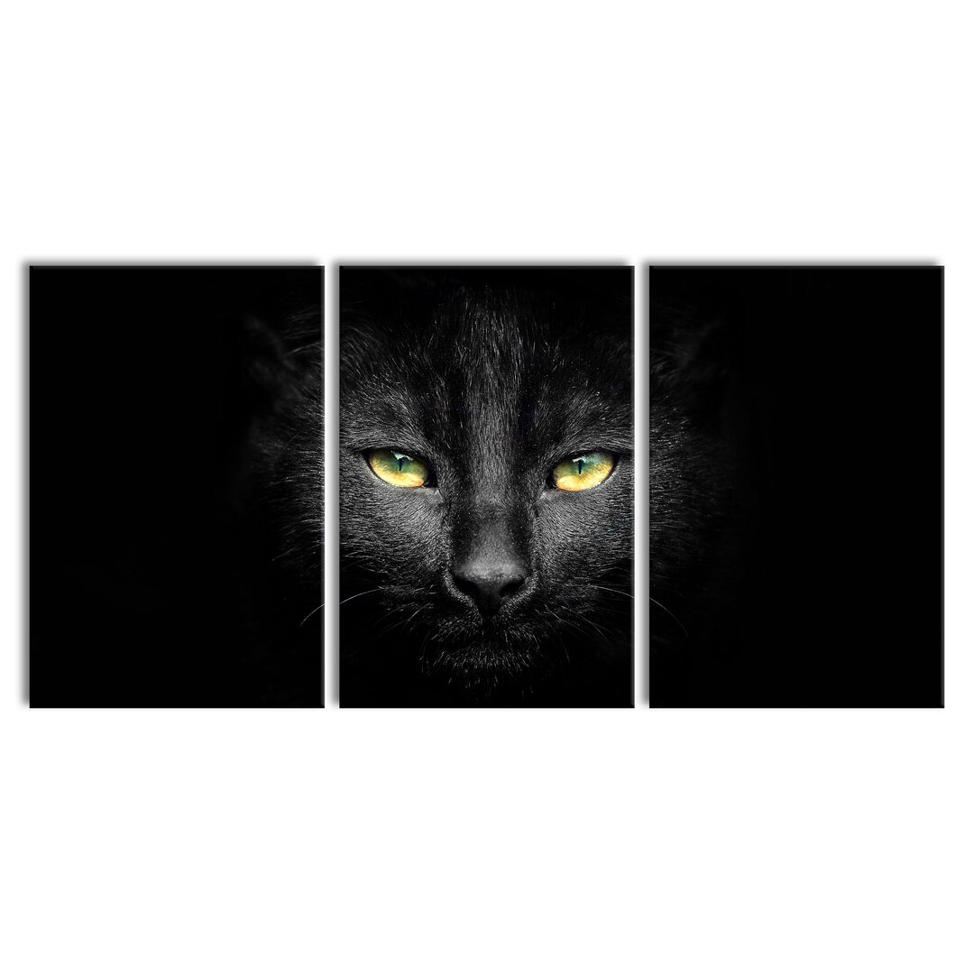 3-tlg. Leinwandbilder-Set Dark Black Cat Face