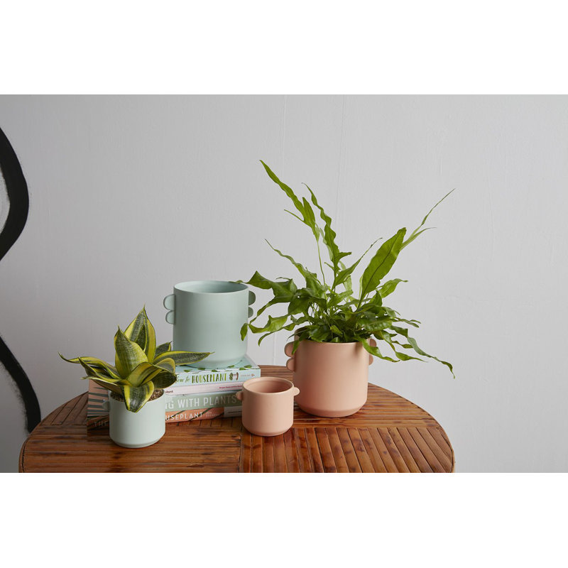 Pot de fleurs en céramique Vallon, H 2,75 po x l 4 po x P 3 po, Orange