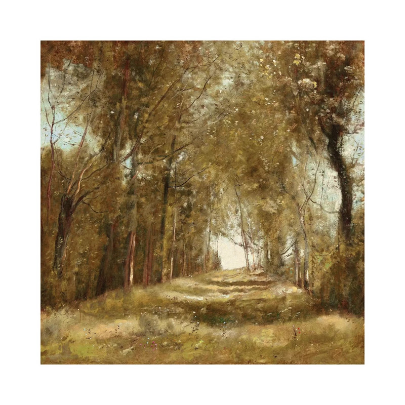 Shaded Path I by Christy McKee - Wrapped Canvas Print, 45.72 cm H x 45.72 cm W