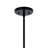 20.5" 4 Light Chandelier-596225558