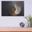"Coquillage Nautilus" par Elena Ray-1416675435