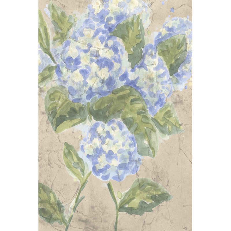 Tarneshia Vintage Hydrangea Fresco II by June Erica Vess - Wrapped Canvas Print, 30 cm H x 20 cm W