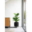 Pot de fleurs Mason Series-98369800-98412314