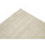 Area Rug in Beige