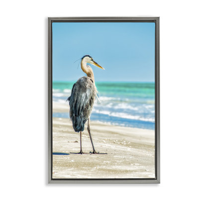Toile flottante oiseau de plage réfléchissant par Mary Lou Johnson