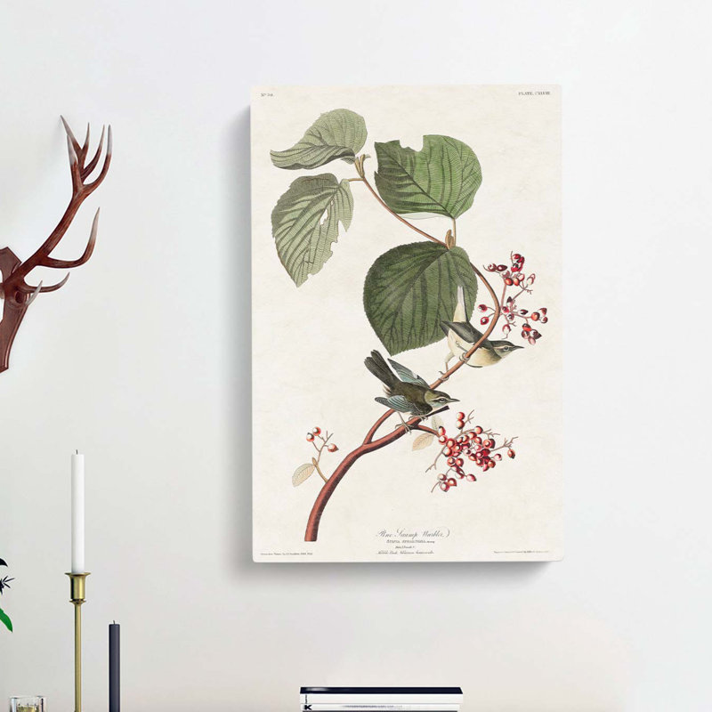 Pine Swamp Warbler by John Audubon - Wrapped Canvas Painting, 76cm H x 50cm W x 3cm D