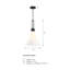 Rockleigh 60 Watt 1-Light Matte Black Down Pendant Light with Etched Opal Glass Shade-1254315331-1254315328