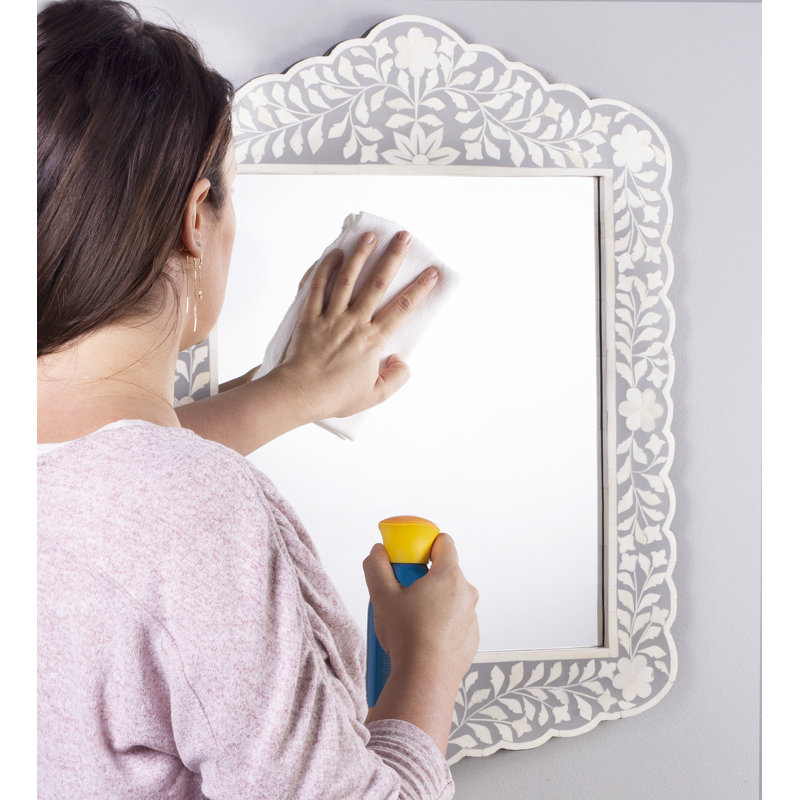 Ren Botanic Bone Inlay Traditional Distressed Accent Mirror, Gray
